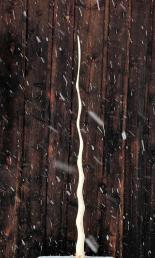 IMG_4248 IMG_4248