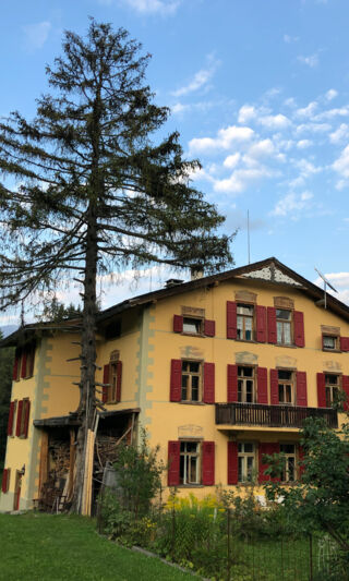 IMG_3594 IMG_3594
