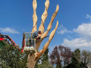 Second-Life-of-Tree_4-3 Second-Life-of-Tree_4-3