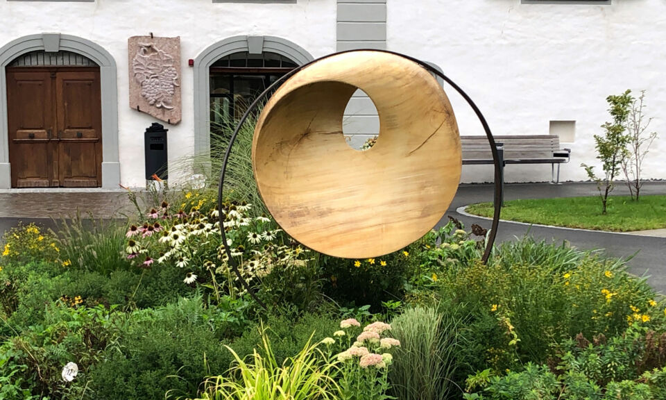 IMG_3546-5-3 IMG_3546-5-3