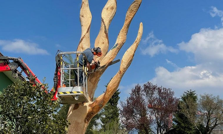 Second-Life-of-Tree_5-3 Second-Life-of-Tree_5-3