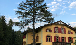 IMG_3593 IMG_3593