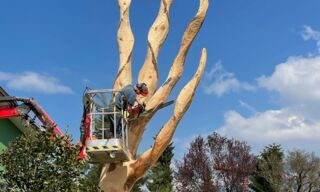 IMG_20210506_104229 IMG_20210506_104229