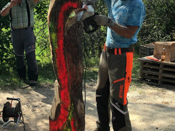 IMG_2289 IMG_2289
